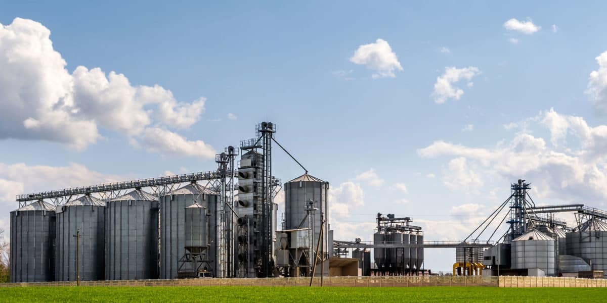 Impianto industriale per trasporto cereali sfusi – esempio di applicazione catene di trasporto Rosa Catene per bulk handling e lavorazioni agricole.